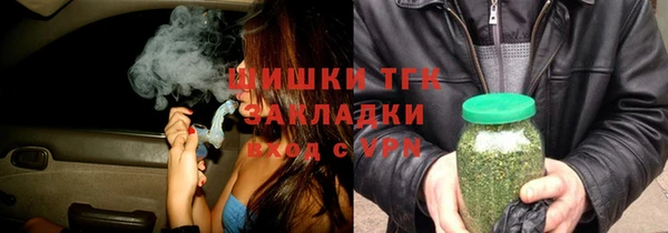 прущие грибы Нефтекумск