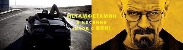 прущие грибы Болотное