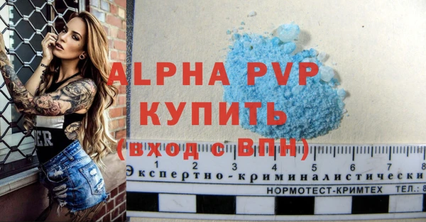 прущие грибы Нефтекумск