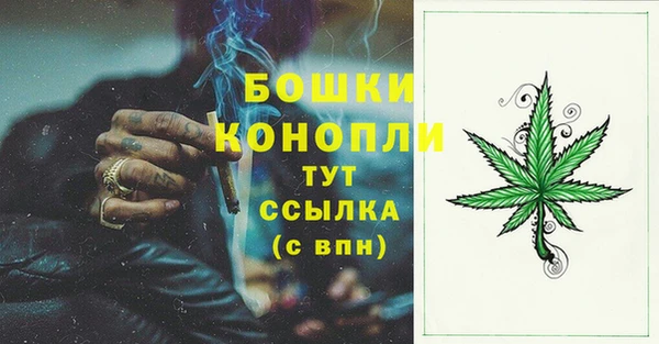 прущие грибы Нефтекумск