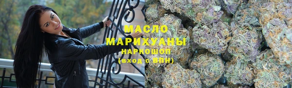 прущие грибы Нефтекумск