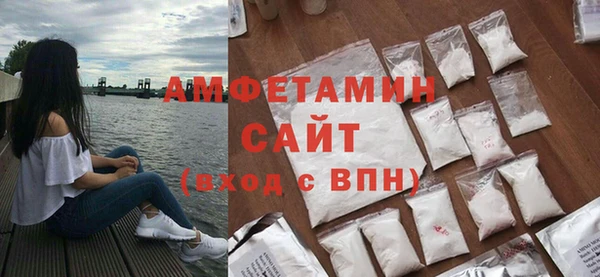 прущие грибы Болотное
